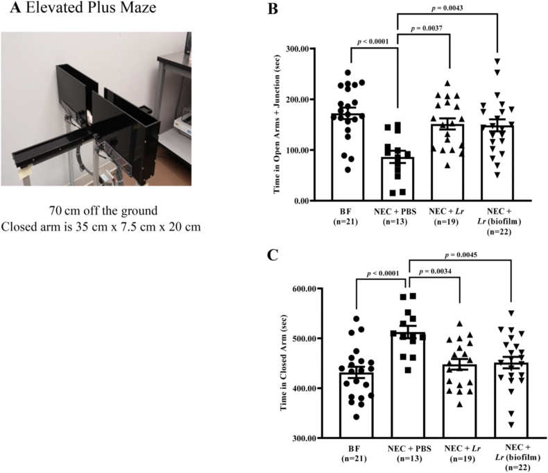 Fig. 6