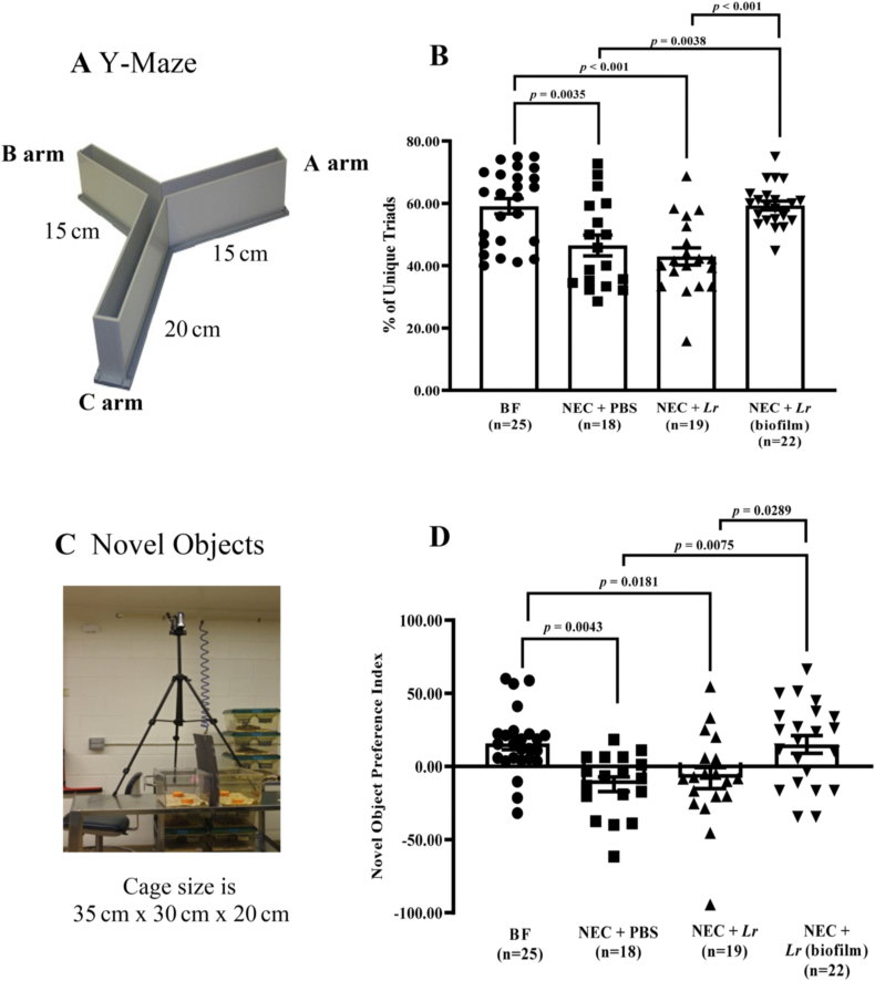 Fig. 4