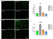 Figure 5