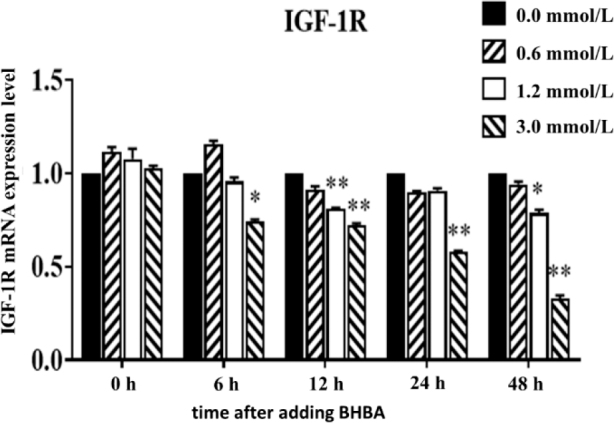 Fig. 10.