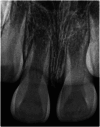 Fig. 8