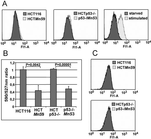 FIG. 6.