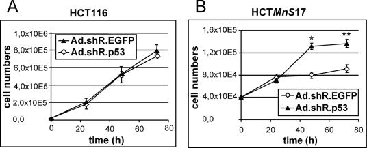 FIG. 5.