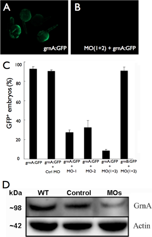 FIGURE 1.