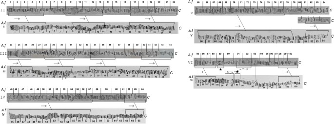 Fig 13