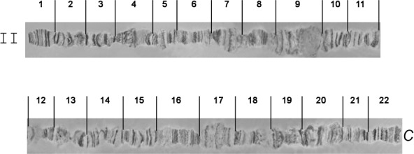 Fig 5