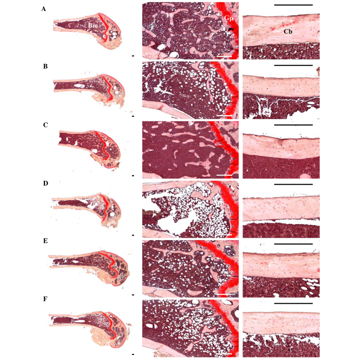 Figure 10.