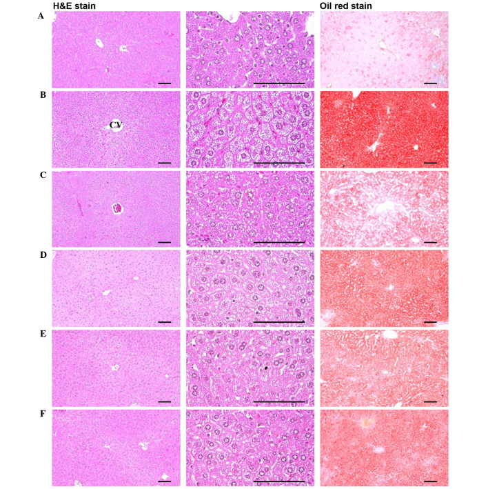 Figure 9.