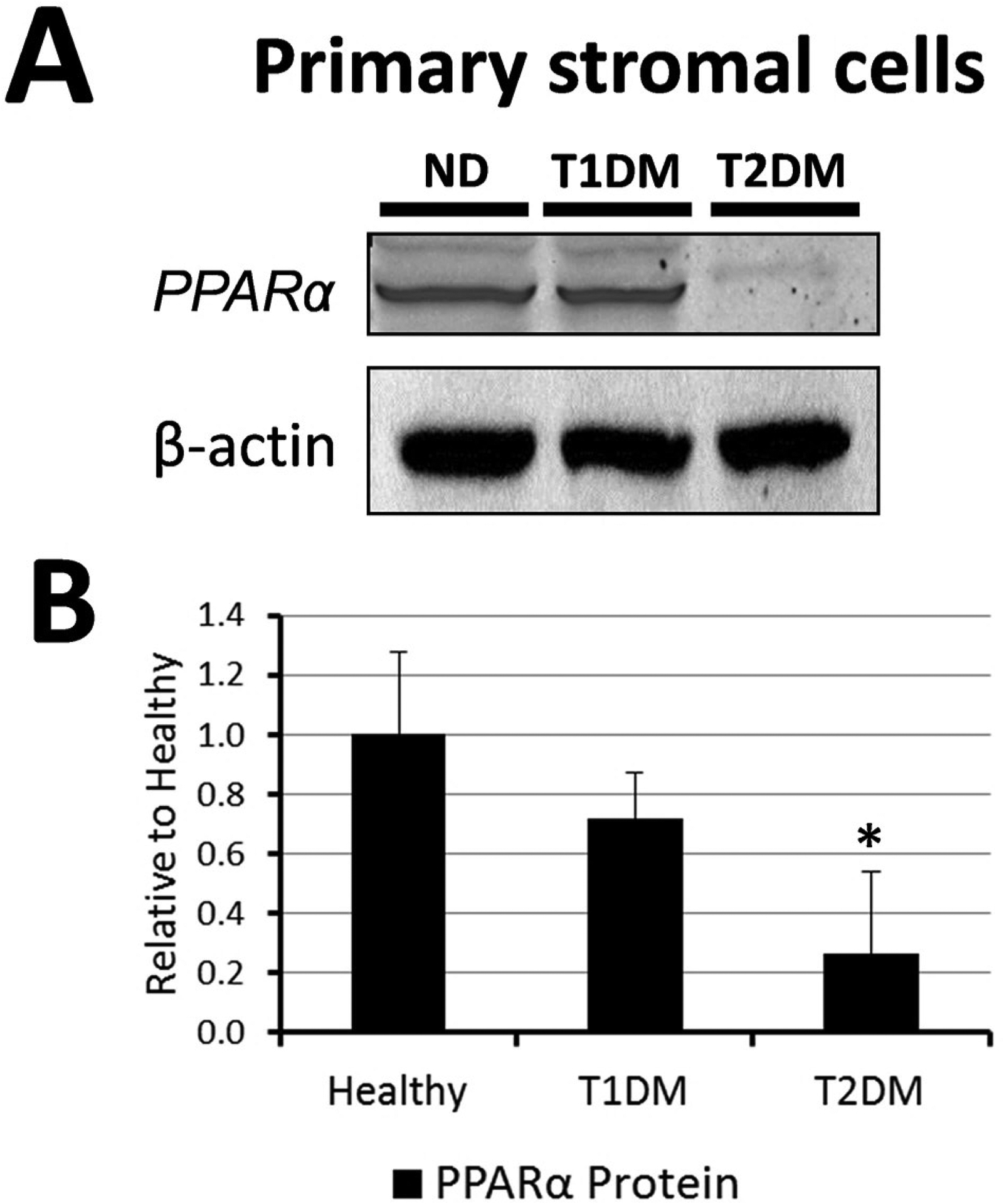 Figure 5: