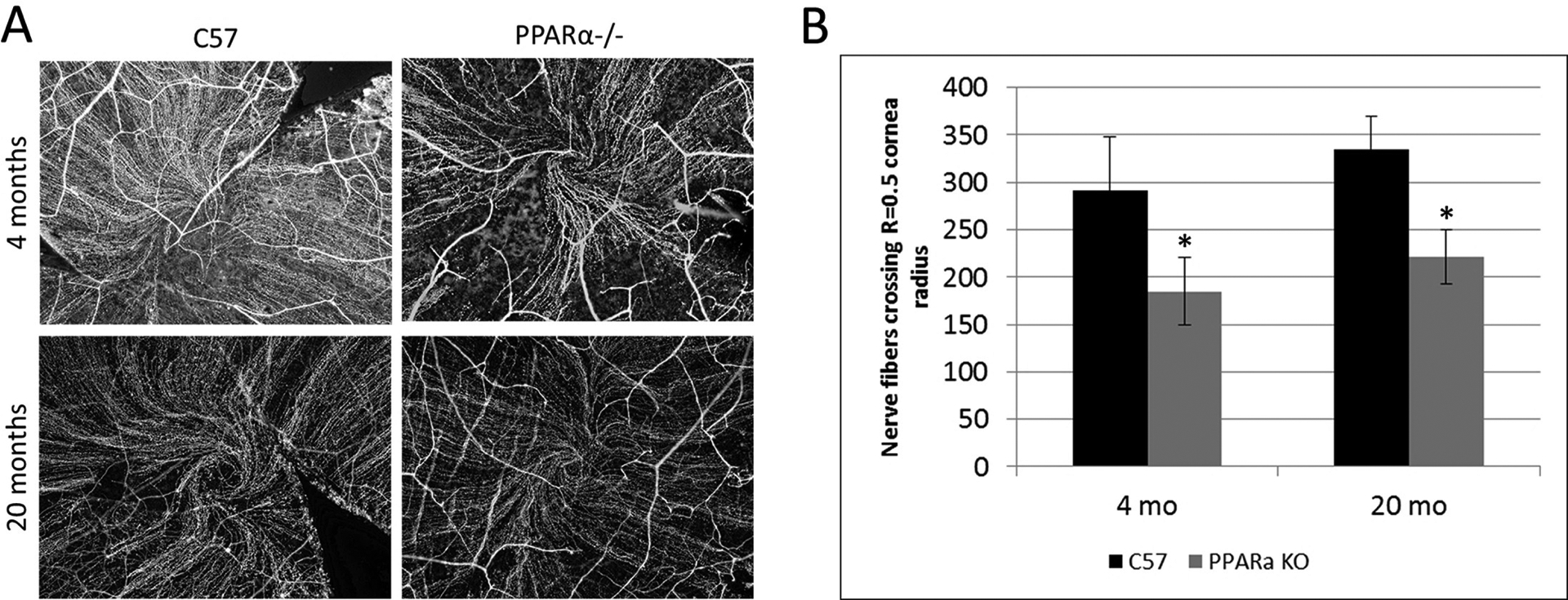 Figure 6: