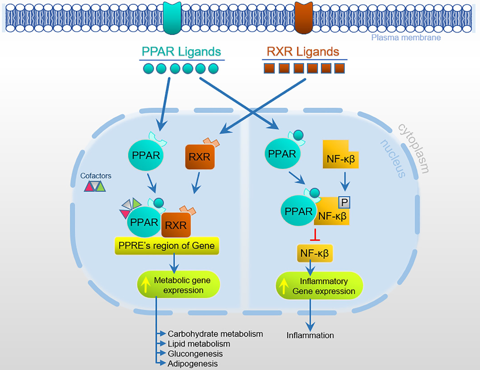 Figure 3: