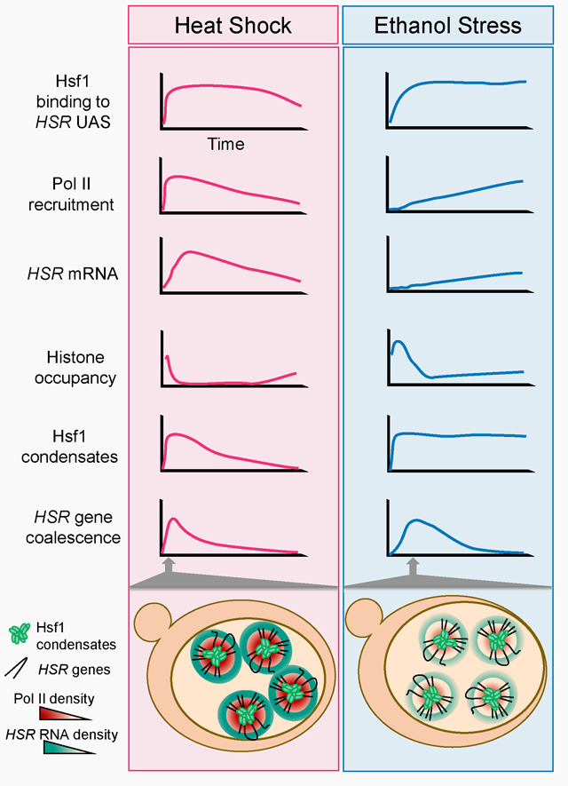 graphic file with name nihpp-2023.09.28.560064v2-f0001.jpg