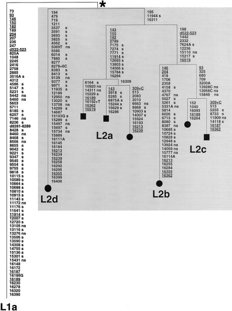 Figure  2