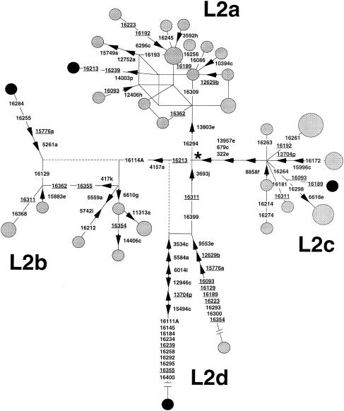 Figure  1