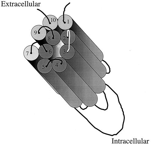 FIG. 6.