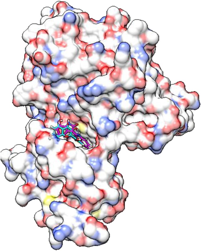 Fig. 10.