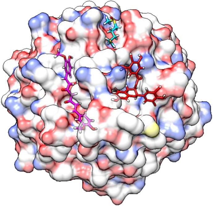 Fig. 8.
