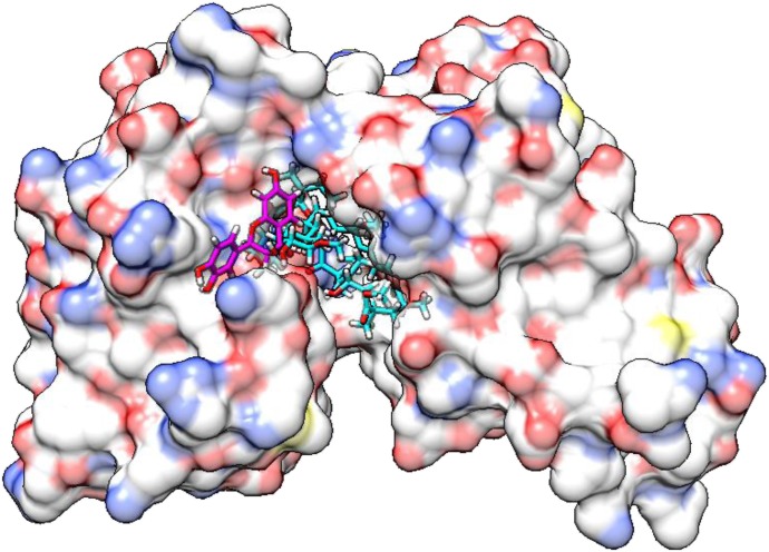 Fig. 9.