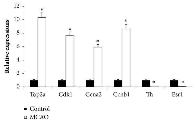 Figure 9