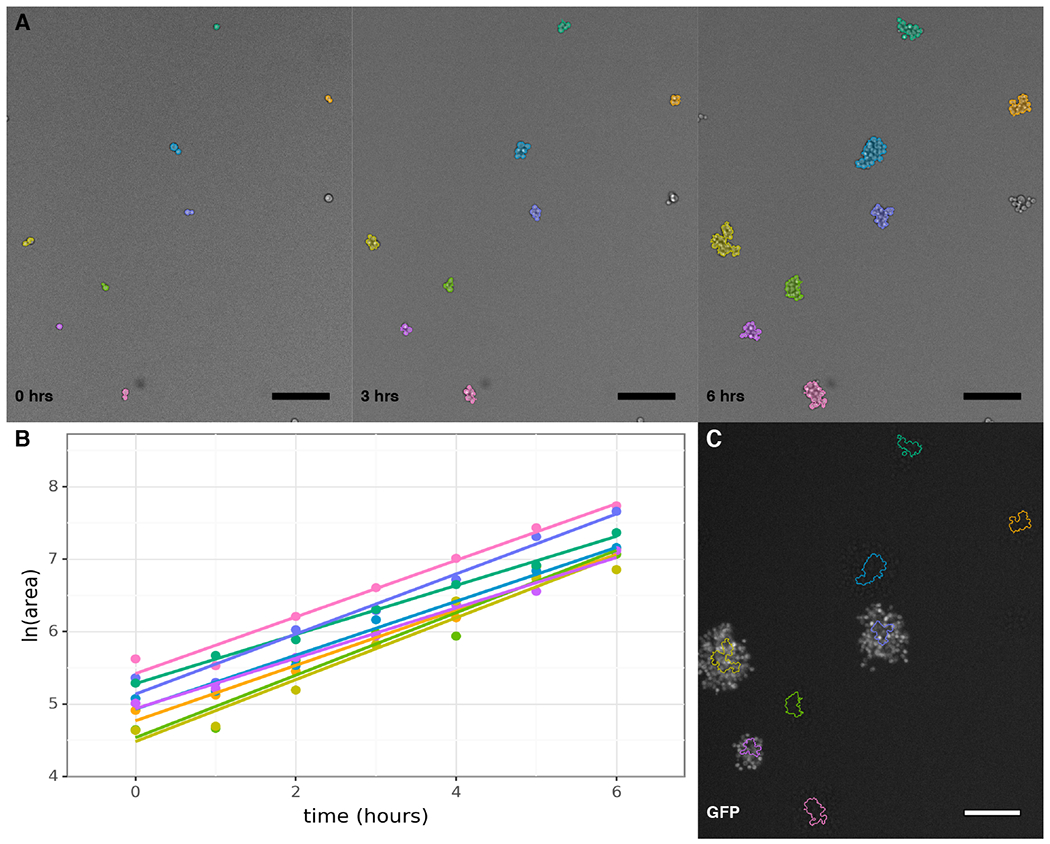 Figure 2: