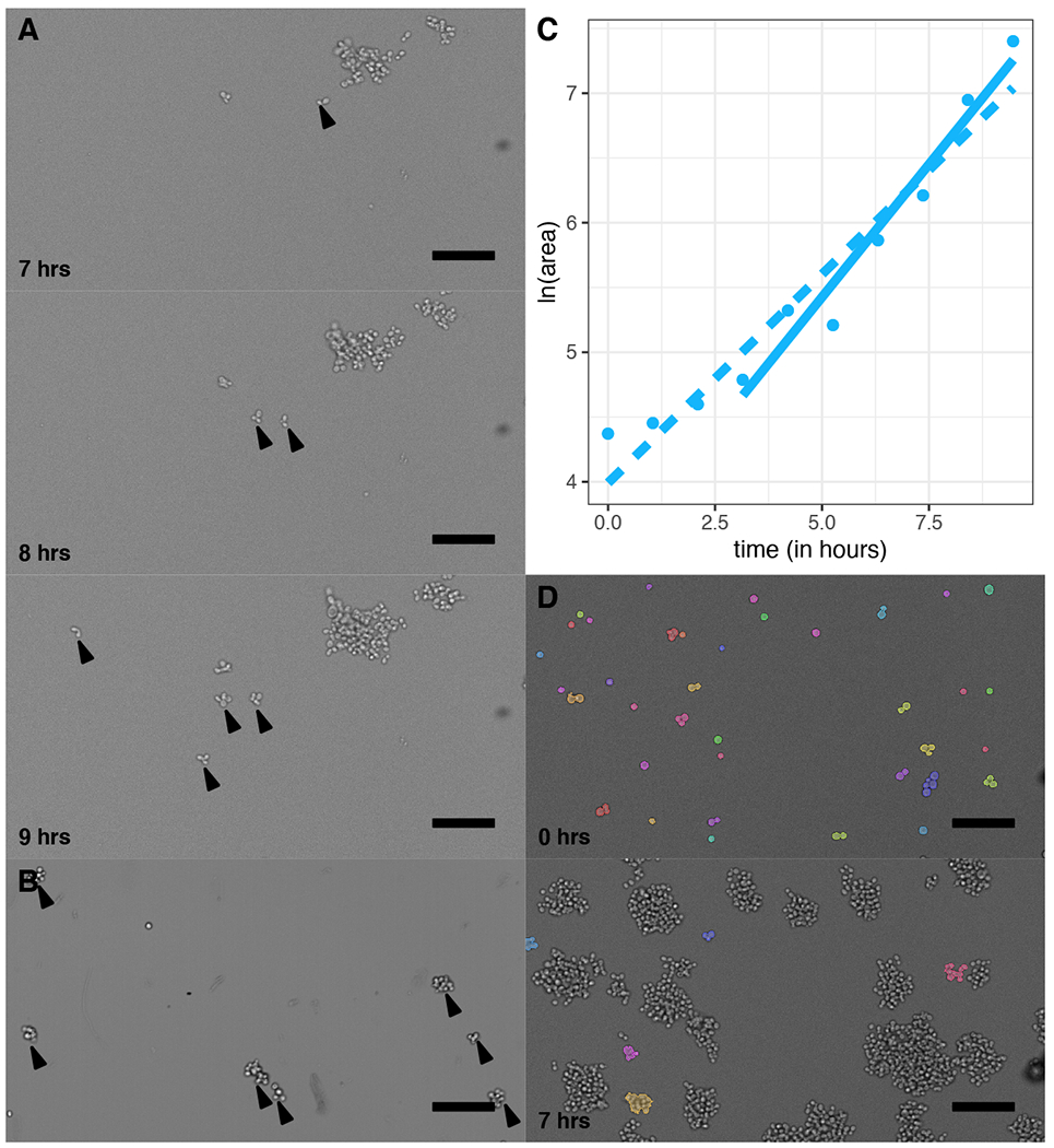 Figure 4.