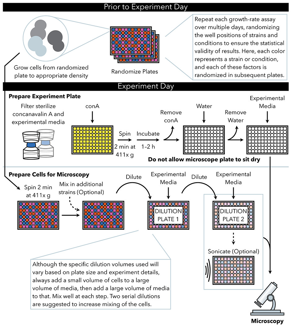 Figure 1: