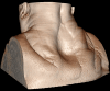 Fig. 9.