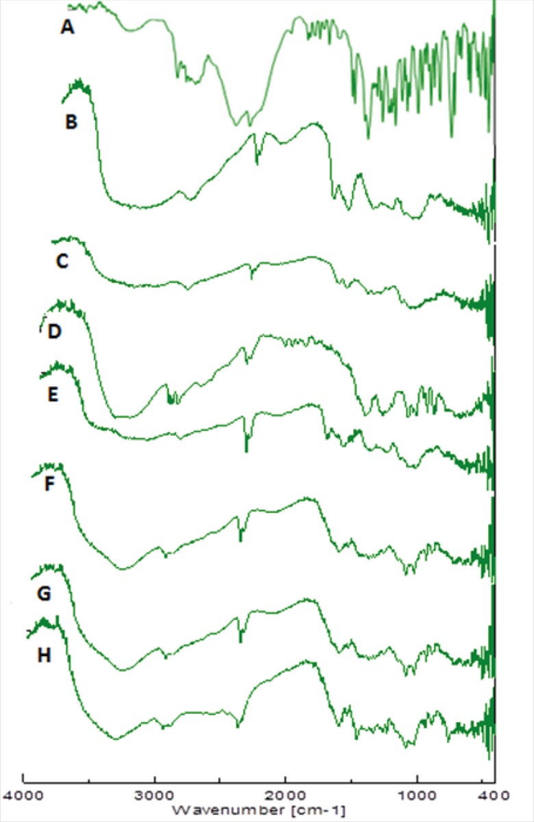 Figure 8