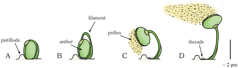 Fig 13