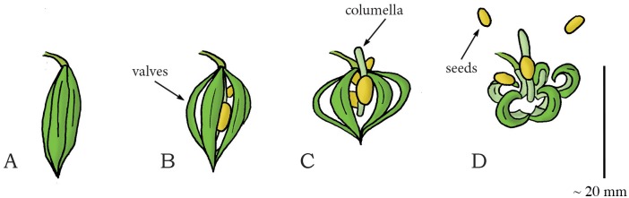 Fig 11