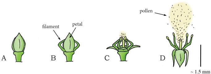 Fig 12