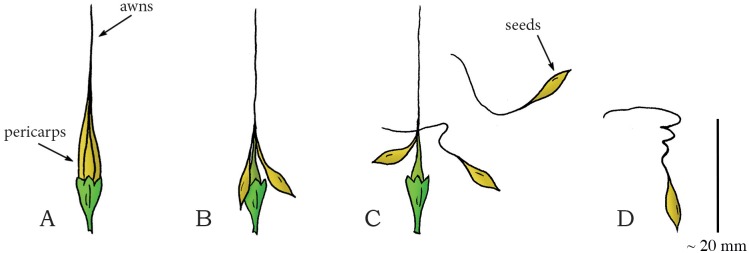 Fig 16