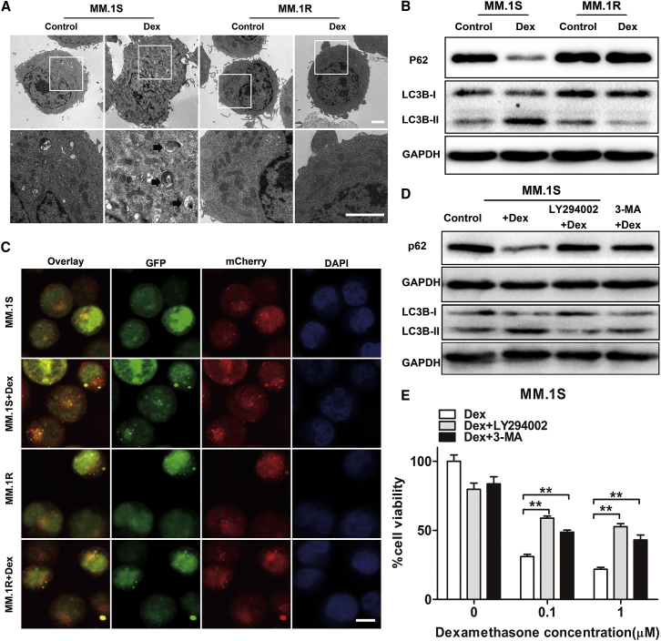 Figure 2