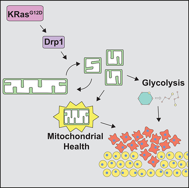 graphic file with name nihms-1537434-f0001.jpg