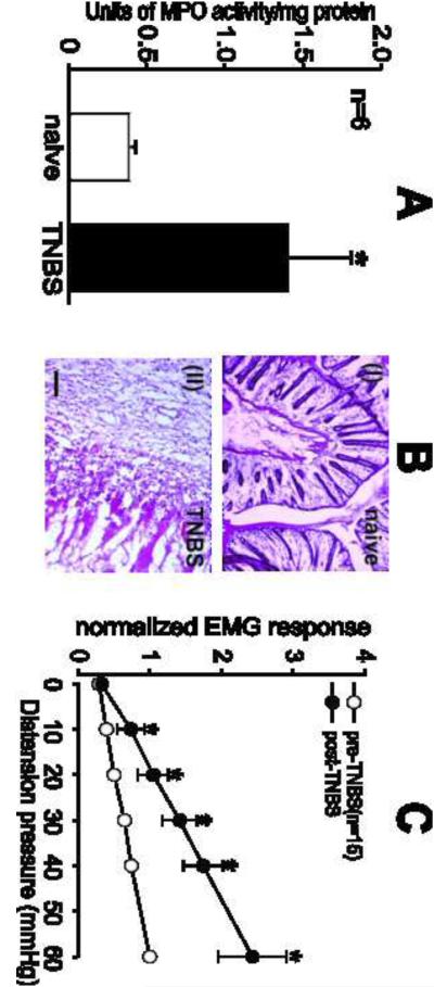 Fig.1