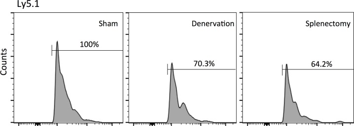 Fig 10