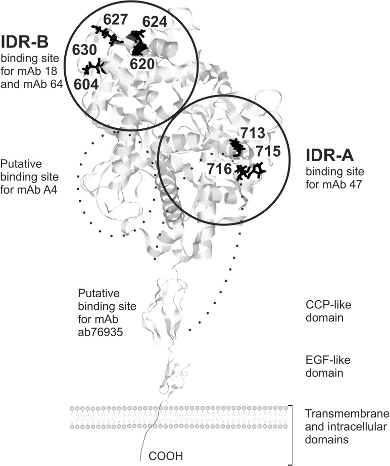 Fig 1