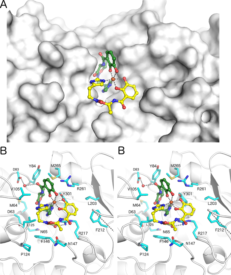 Figure 3.