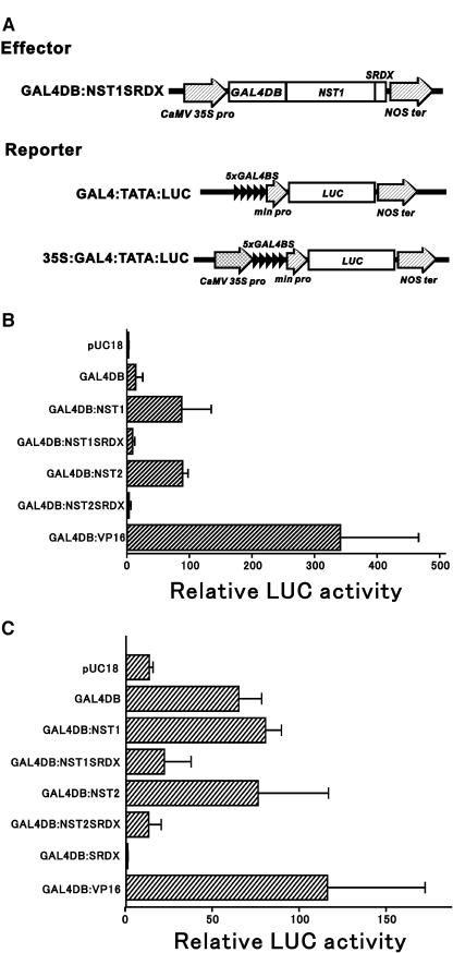 Figure 4.