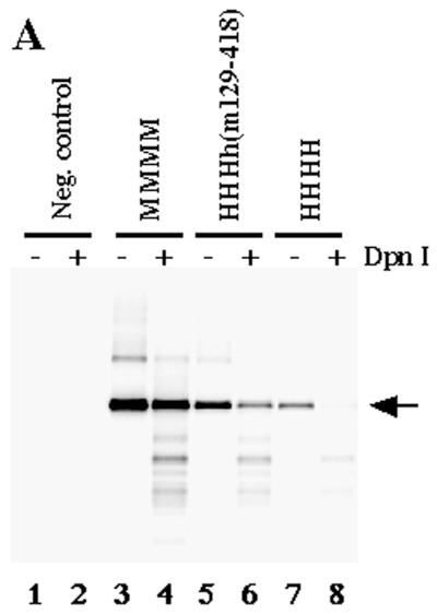 FIG. 5