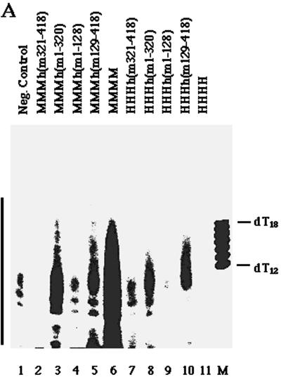 FIG. 6