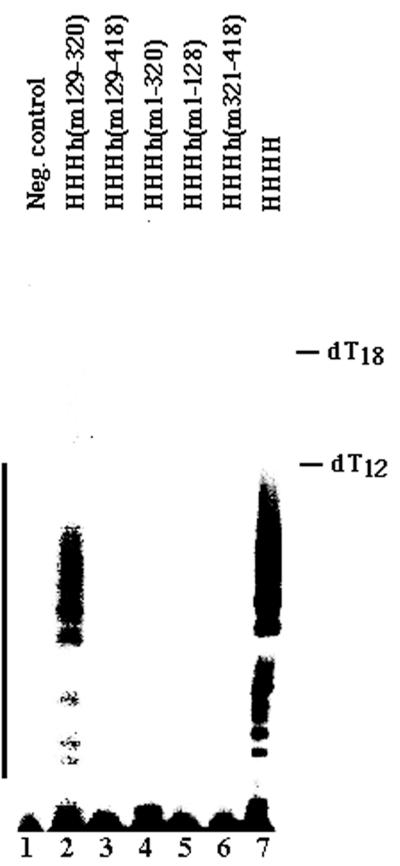 FIG. 8