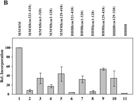 FIG. 6