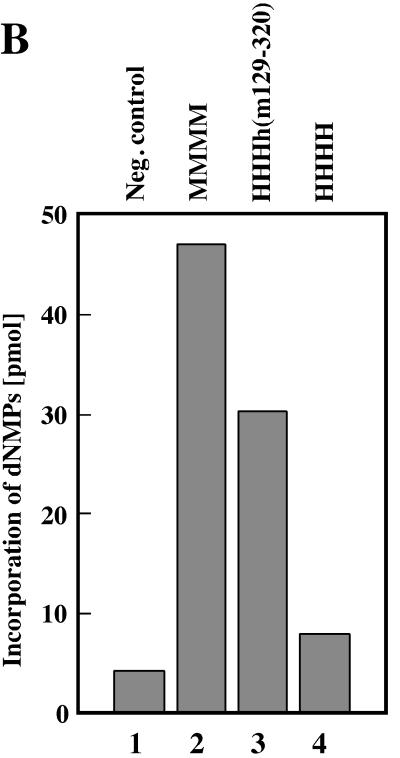 FIG. 5