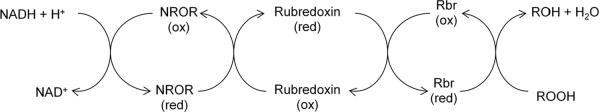 Fig. 11