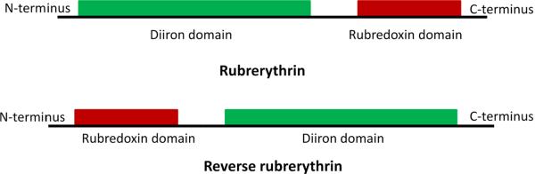 Fig. 11