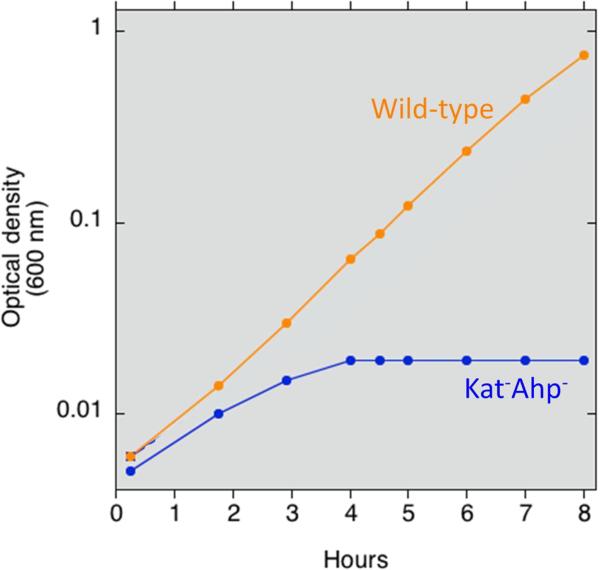 Fig. 2