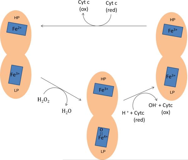 Fig. 10