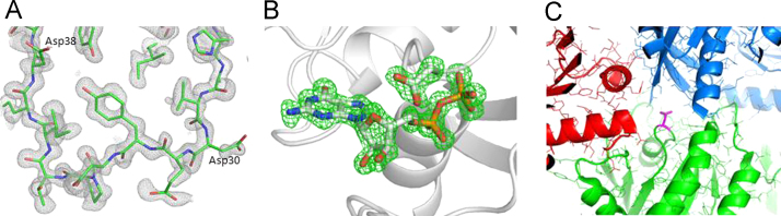Fig. 2