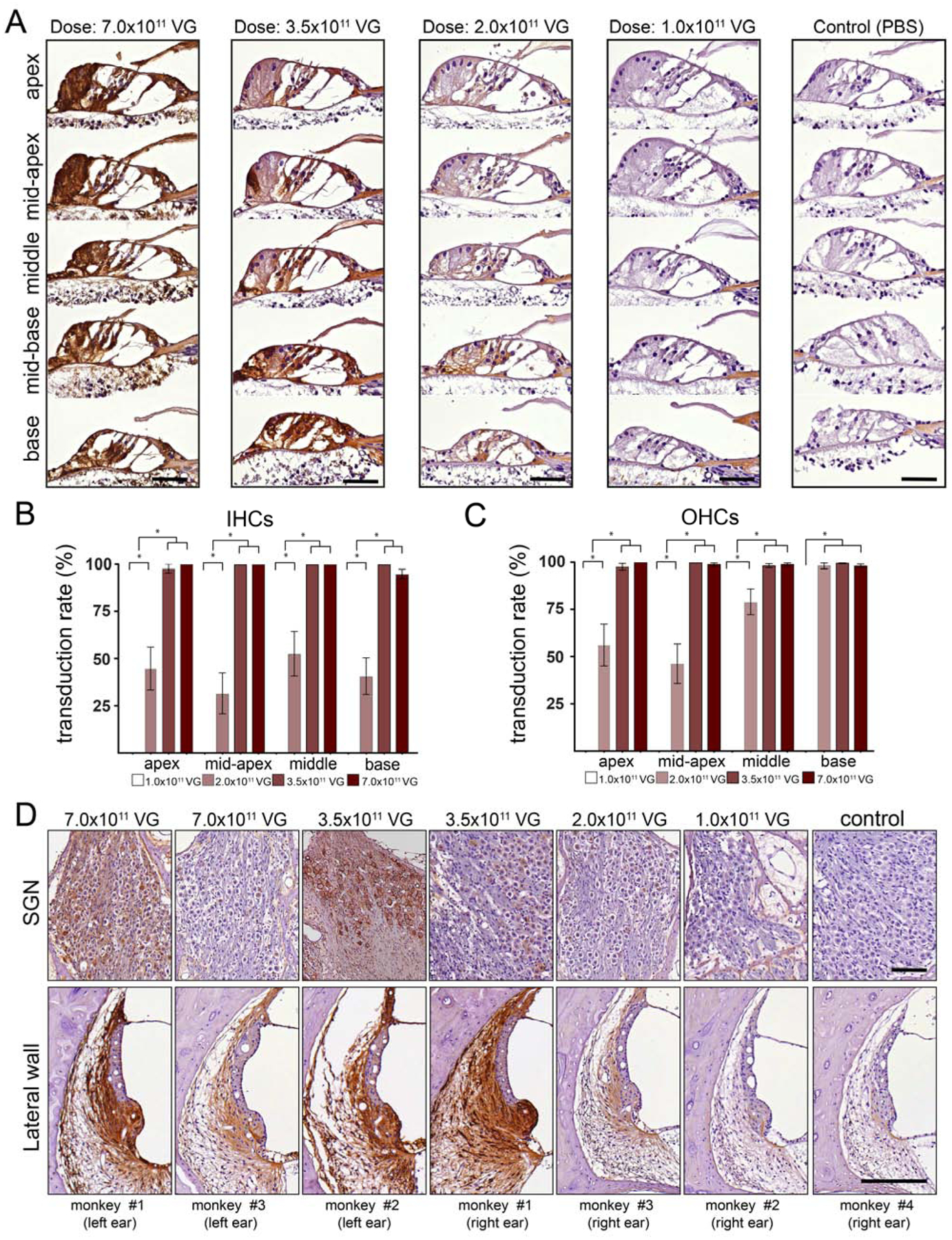 Fig. 6.